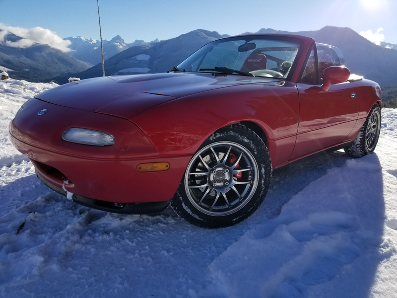 Illustration for article titled Miata vs. Wild